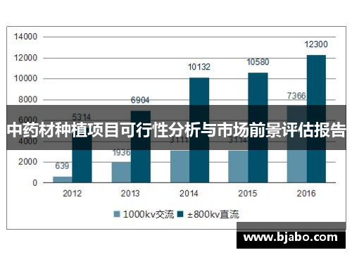 中药材种植项目可行性分析与市场前景评估报告